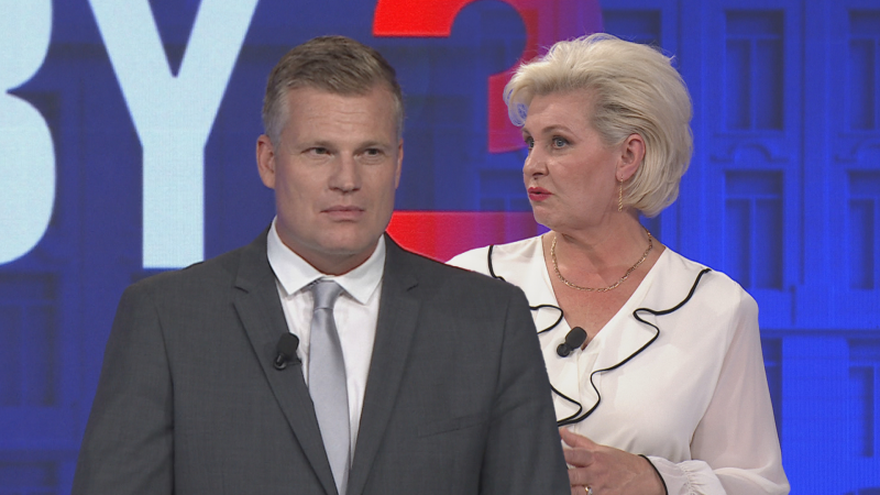 STAN a Piráti mají peníze od Číny, zaútočil Turek. Co si to dovolujete? vykřikla Kovářová