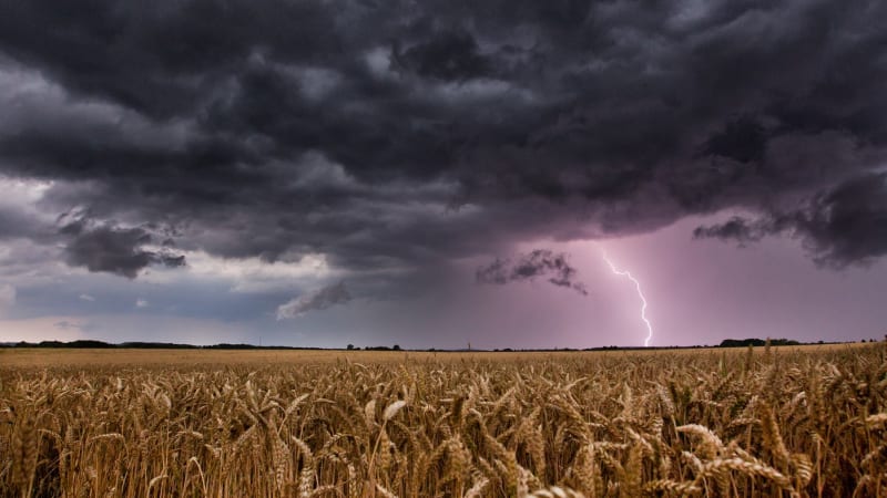 RADAR: Počasí ostře rozdělí Česko na poloviny. Déšť uhasí vedra, kde si dát pozor na bouřky?
