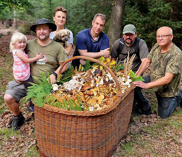 Jako by to vytvořila AI. Houbaři v Brdech udivili gigantickým košem