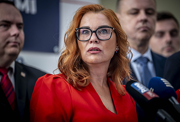 Trikoloru vyšetřuje policie, zabývá se možným tunelováním strany