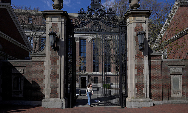 Rakousko přilákalo vědce z USA. Poděkujme Trumpovi, zní z akademie věd