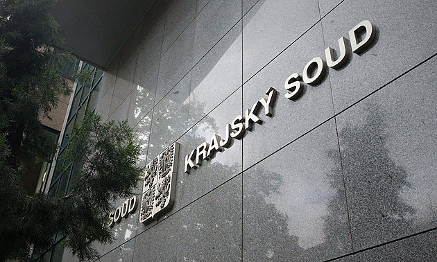 Zavraždil pětiměsíčního syna, protože plakal, viní muže. Hrozí mu výjimečný trest