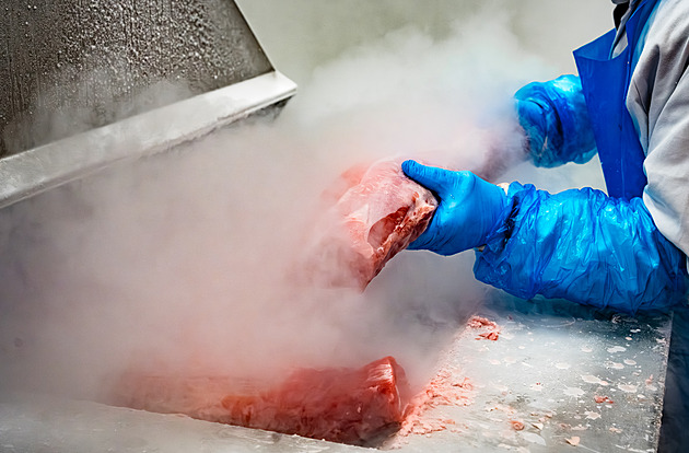 Každý devátý český čuník projde přes nás, říká vedoucí provozu v Modleticích