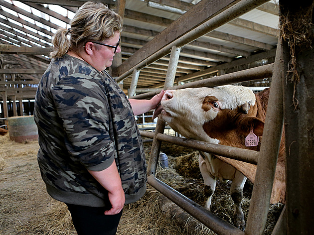 Opora v zákoně nám usnadní život, věří rodinné farmy ze severní Moravy