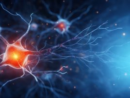 Umělý neuron z bakterií mluví řečí lidského mozku