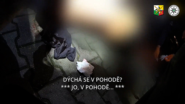 Policisté vypátrali recidivistu, který v Plzni při vloupání do auta pobodal muže