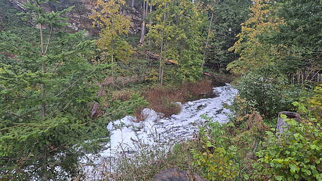 Řeku Doubravu pokryla pěna, našly se mrtvé ryby. Znečištění prověřuje laboratoř