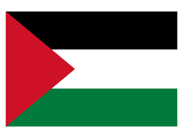 Studenti vyvěsili palestinské vlajky. Není to oficiální postoj školy, říká rektor AVU