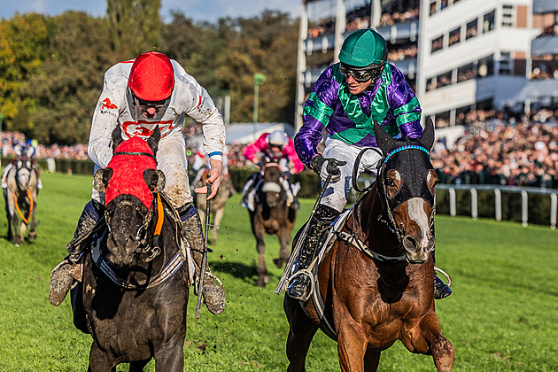 Závod mezi okurkami i výhra o 0,01 vteřiny. Připomeňte si příběhy Velké pardubické