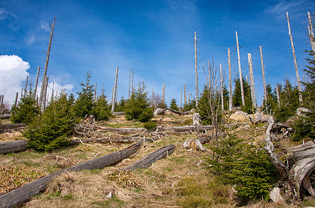 Bavorská obec dostala za svou zapadlost vulgární označení. Nestydaté, míní místní