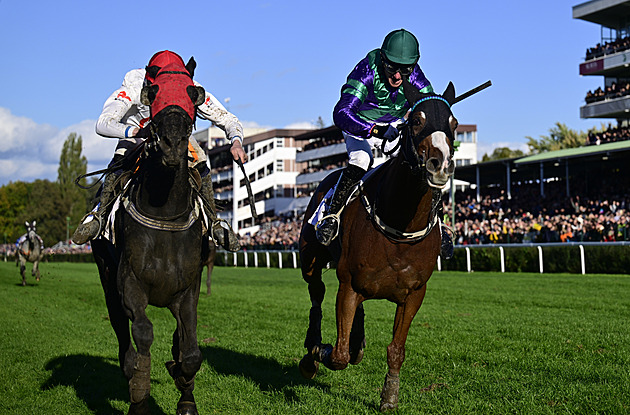 Velká pardubická ONLINE: Kdo ovládne 135. ročník slavného dostihu?