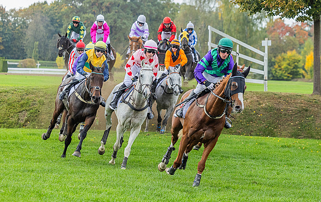 Co se stalo Sexy Lordovi? Trenérka líčí: Láska ke koním zvítězila, Myška je hrdina