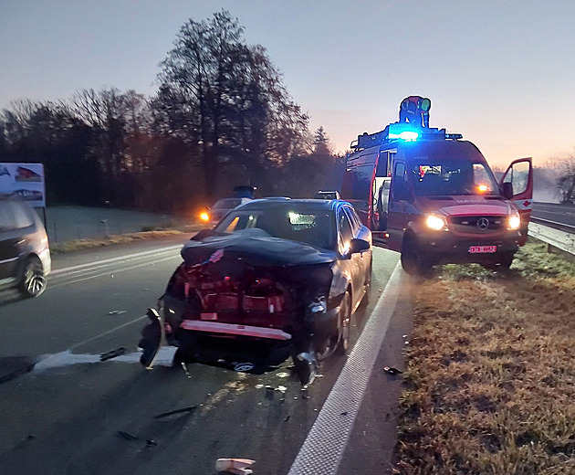 Hromadná nehoda kvůli srážce s jelenem. Frekventovaný tah u Ostravy stál