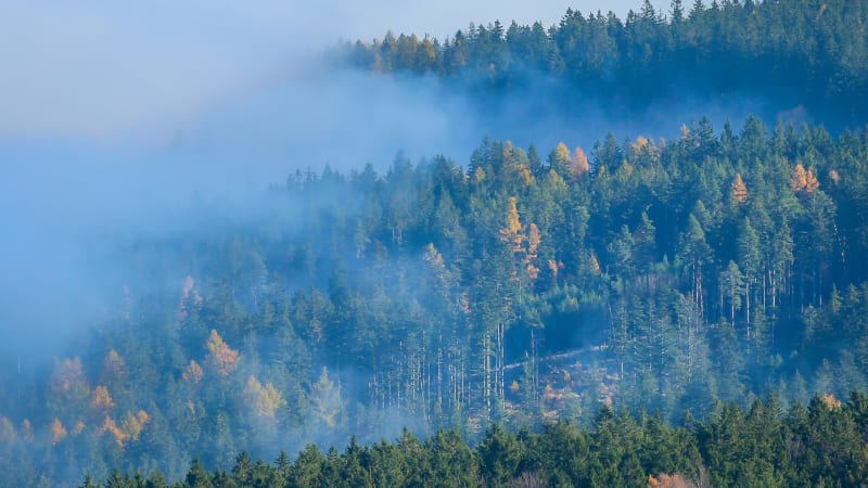Počasí plné zvratů: Tlaková níže přinese déšť a sněžení, pak se rekordně oteplí