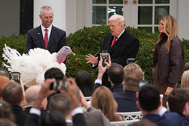 Trump urážel demokraty a pak omilostnil dva krocany. Jeden však záhadně zmizel