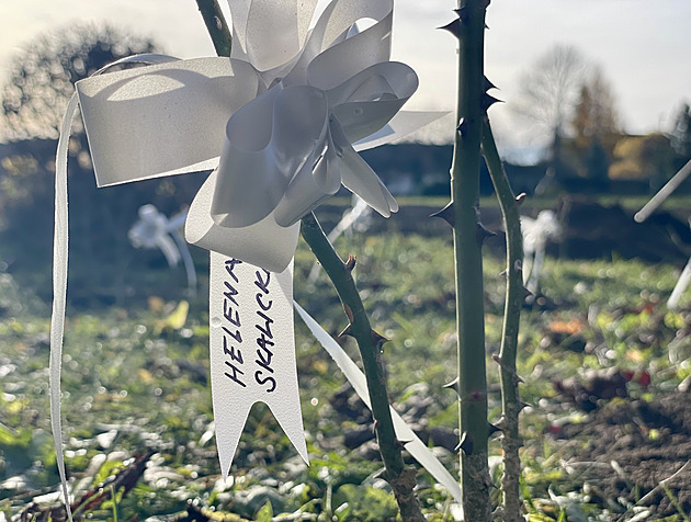 Dvacet růží pro Ležáky. Poslední přeživší uctila památku svých nejbližších