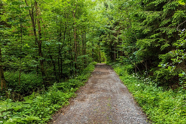 Konec nadějí turistů i cyklistů. Ze zpřístupnění obory na Osoblažsku sešlo