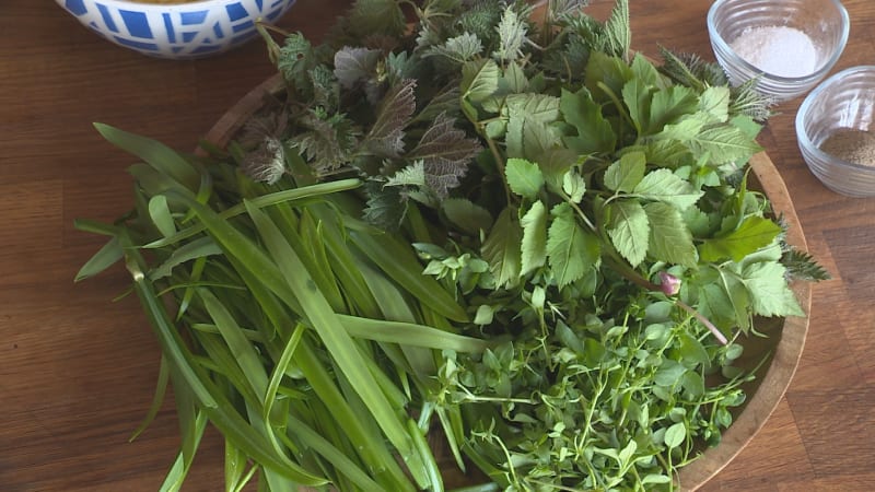 Jarní bylinky jsou plné vitamínů. Připravit si z nich můžete polévku, pesto i sladkou tečku