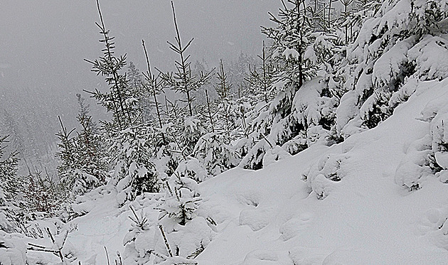 Beskydy pod sněhem, Lysá hora hlásí desítky centimetrů