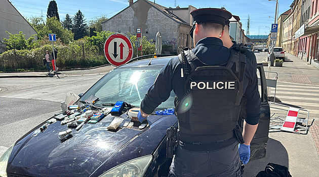 Muž se zákazem řízení ujížděl strážníkům, honička skončila nehodou