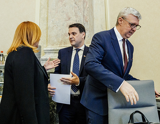 Vláda podpořila zpřísnění trestů za týrání zvířat