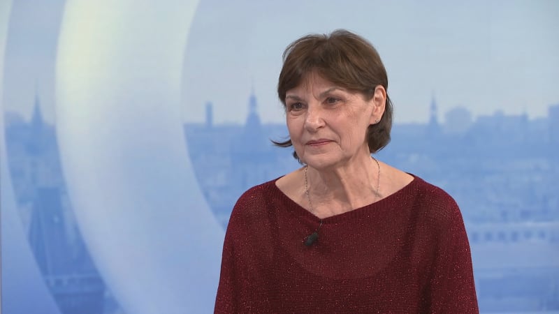 Pobodání běžkyně v Plzni: Kriminalistka řekla, jak mladík útok chystal a co pomohlo policii